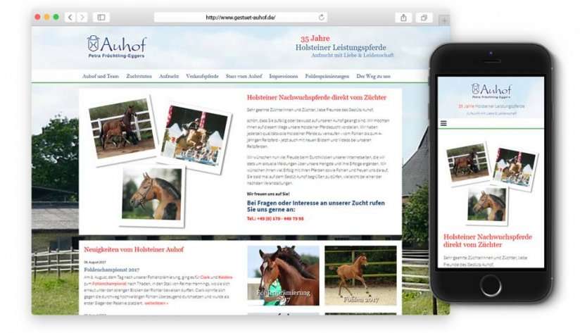 Responsive Website des Auhofs