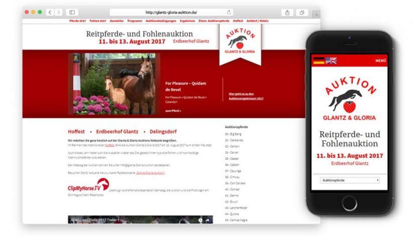 Responsive Website der Glantz & Gloria - Auktion